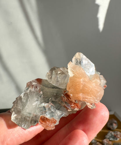 Apophyllite and Red Heulandite