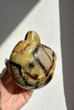 Load image into Gallery viewer, Septarian Turtle
