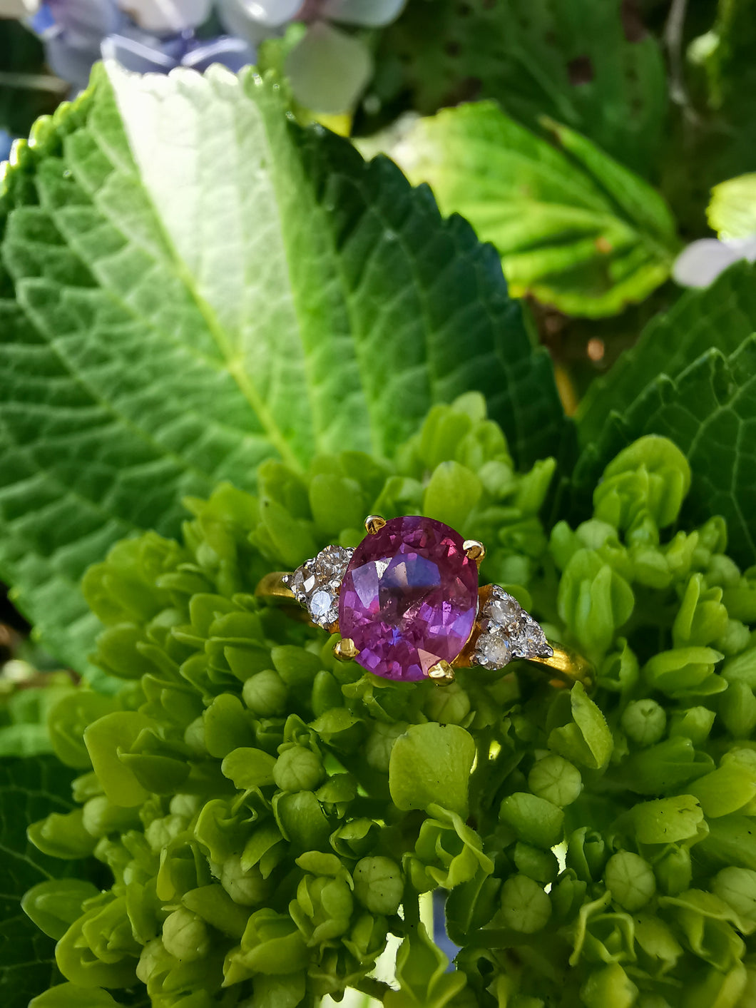 Pink Sapphire and Diamond Set 10K Gold Ring