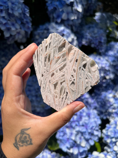 Mexican Crazy Lace Agate Slab